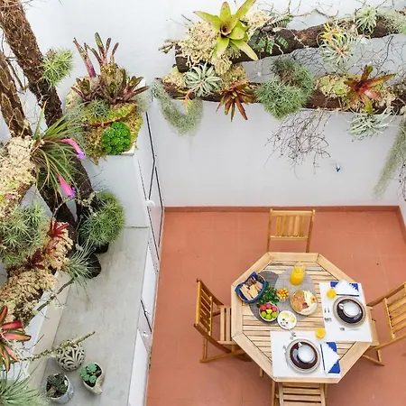 Cantinho Do Cantagalo