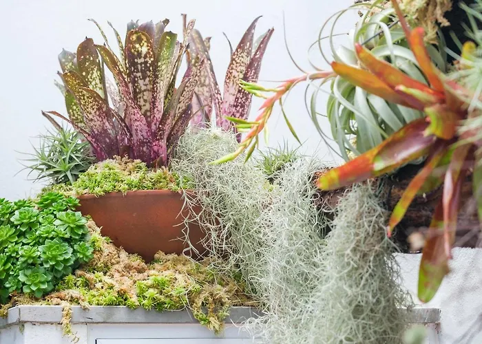 Tatil Evi Cantinho Do Cantagalo *