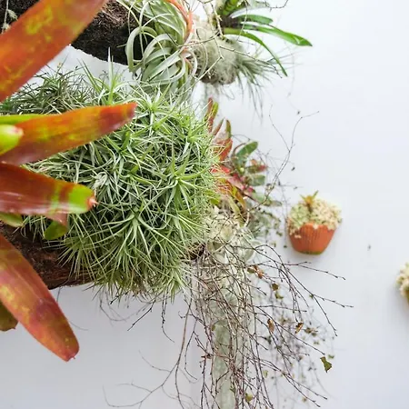 Cantinho Do Cantagalo