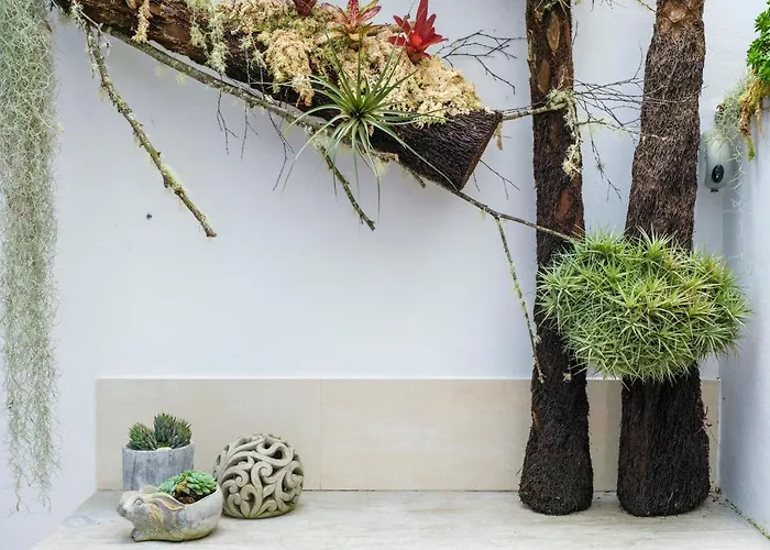 Cantinho Do Cantagalo Σπίτι διακοπών Angra do Heroísmo